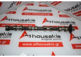 Nockenwelle 9685027580 zum PEUGEOT, CITROEN RHK, RHM, RHW, RHT, RHR