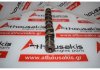 Albero a camme 0801Z0 per PEUGEOT, CITROEN TU5JP4 (NFU, NFS, NFT)