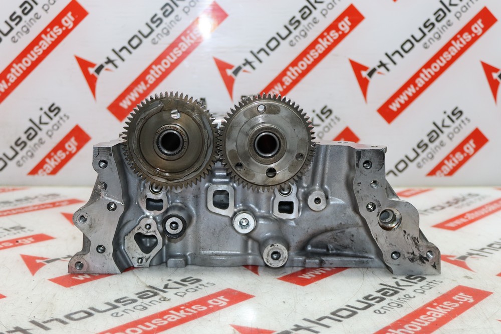 Zylinderkopf 55500307, 55501671 zum OPEL