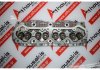 Cylinder Head 4444449 for FIAT