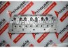 Cylinder Head 4308744, 124BL for FIAT