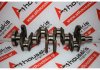 Vilebrequin 036AL, 036105101AL pour VW, SEAT, SKODA BUD, BXW