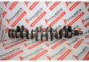 Коленчатый вал EBC1147PA, 9DPALA, 9DPANA для JAGUAR 9DPALA, 9DPANA