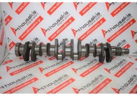 Kurbelwelle EBC1648PA, 9BPMNA, 9JPGRB zum JAGUAR 9BPMNA, 9JPGRB