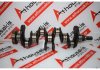 Albero motore 13310-PE5-010, ZA1, ZA2 per HONDA ZA1, ZA2