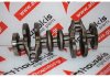 Kurbelwelle 1654517380, 1632597380, 3647162, 3556087 zum PEUGEOT, CITROEN, OPEL HNE, HNP, HNS, HNX, HN01, HN02, HN03, HN05, HN09, B12XHL, B12XHT