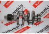 Kurbelwelle 2TN66 zum YANMAR 2TN66