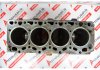 Κορμός 99474529 για FIAT, IVECO 