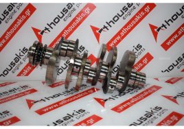 Albero motore R059A, 059101AH, 059105101AH, 059105101AE, 059105101AK, 059105101AB, 059105101BC per AUDI, VW, PORSCHE CEZ, CEX, CDY, CCW, CCM, CCL, CAT, CAS, CAP, BUN, BUG, BSP, BNG, BMK, BKS, BKN, ASB