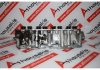 Zylinderkopf 7663436, 46459673, 55235116 zum FIAT 160A1, 178B2, 836A4