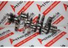 Cigüeñal 59AC, 059101AC, BPP, BSG, 059105101AC para AUDI BPP, BSG