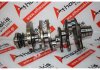 Vilebrequin 059AE, 059101AE, 059105101AH, 059105101AE, 059105101AK, 059105101BC pour AUDI, VW CEZ, CEX, CDY, CCW, CCM, CCL, CAT, CAS, CAP, BUN, BUG, BSP, BNG, BMK, BKS, BKN, ASB