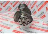 Kurbelwelle 90610, 9060300502, 9060300602, 9060301102 zum MERCEDES OM906