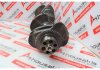 Kurbelwelle 90610, 9060300502, 9060300602, 9060301102 zum MERCEDES OM906