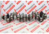 Kurbelwelle C6.6, 1006C, 1106D, 2925859 zum CATERPILLAR, PERKINS C6.6, 1006C, 1106D