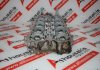 Caja de árbol de leva 948105121 para PORSCHE 