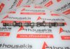 Nockenwelle 555, 8200084742, 8200084427 zum RENAULT, OPEL, NISSAN F9Q