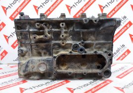 Engine block TD25, 11009-3S900 for NISSAN