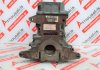 Monoblocco 55262287, LAU61 per JEEP LAU61