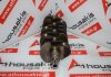 Cigüeñal 23111-02840 para HYUNDAI, KIA 