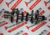 Albero motore 3AB1 per ISUZU 3AB1
