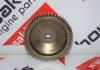 Camshaft pulley 55566014 for OPEL, FIAT, ALFA ROMEO