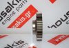 Rueda del árbol de levas 55566015 para OPEL, FIAT, ALFA ROMEO 