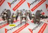 Kurbelwelle 430, 0501K7, 0501NS, 2259739 zum PEUGEOT, CITROEN, FORD RHR, RHS, RHV, RHK, RHZ, RHY, RHD, RHE, RHH, RH02, DW10FE, DW10FUE, DW10FUD, DW10FD, DW10CDCU, DW10FC, AH01, AH02, AH03, AHH, AHJ, AHK, AHM, AHN, AHP, AHR, AHS, AHV, EHS, EHT, EHY, EHC, RHD, RHE, RHH, RH02, TXWA, T7CA, T7CC, TCCD, T7CE, T7CF, T7CI, T7CJ, T7CK, T7CL, T7CN, T7DB, T7MA, T7MB, T8CA, T8CD, T8CG, T8CH, T8CI, T8CJ, T8CL, T8DA, T8DE, T8MA, T8MB, UFCA, UFCB, XRMA, XRMB