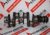 Vilebrequin 039105101A pour VW, PORSCHE CJ, CU, CV