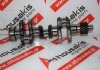 Kurbelwelle 3TN66, 3TNA66, 3TNV66, 3TNE66 zum YANMAR 3TN66, 3TNA66, 3TNV66, 3TNE66