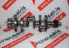 Kurbelwelle 3TN66, 3TNA66, 3TNV66, 3TNE66 zum YANMAR 3TN66, 3TNA66, 3TNV66, 3TNE66