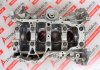 Κορμός G4NH, 21103-2EK01, 21100-2E081 για HYUNDAI, KIA G4NH