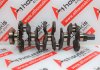 Kurbelwelle 13310-59B-J00, 13310-5AA-A00 zum HONDA L15BA, L15BE, L15B8, L15B9