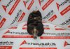 Στρόφαλος 96MMAK για FORD FXDA, FXDB, FHA