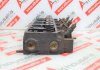Cylinder Head TD25, 11039-3S900 for NISSAN TD25