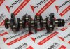 Kurbelwelle 666, 7700722325 zum RENAULT J8S