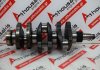 Crankshaft 4653851, 4653850, 4602840 for FIAT 