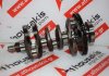 Cigüeñal 46346570 para FIAT, JEEP 46349385, 55282151, EKA