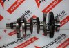 Cigüeñal 46346570 para FIAT, JEEP 46349385, 55282151, EKA