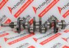 Cigüeñal AR00530, AR00536 para ALFA ROMEO AR00530, AR00536