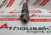 Nockenwelle 3Y, 4Y, 13511-73902 zum TOYOTA 3Y, 4Y