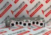 Culata 2Y, 3Y, 4Y, 11101-73020-11101-73021, 11101-71030 para TOYOTA 2Y, 3Y, 4Y