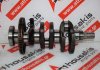 Vilebrequin 55562314, 55562312, A10XEP pour OPEL A10XEP