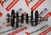 Vilebrequin 55562314, 55562312, A10XEP pour OPEL A10XEP