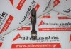 Biella ZD30, QD32, 12100-2W20A, 12100-1W401, 12100-2DB0A, 12100-LE0AA pour NISSAN ZD30, QD32