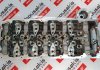 Cylinder Head 4JK1, 4JJ1, 8973559708, 8982230192, 8973559709, 8981756061 for ISUZU 4JK1, 4JJ1