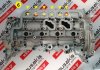 Cylinder Head 7701477996, 7701478149, 7711368682, 7701476669, 8201300689, 11041-9842R for RENAULT, OPEL, NISSAN