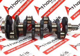 Коленчатый вал 2101F, 5140389AA, 68002238AA для CHRYSLER, DODGE, JEEP ENR, VM28C, VM29C, VM31C