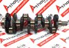 Cigüeñal 2101F, 5140389AA, 68002238AA para CHRYSLER, DODGE, JEEP ENR, VM28C, VM29C, VM31C
