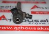 Injektor 0445110800 zum RENAULT, NISSAN 